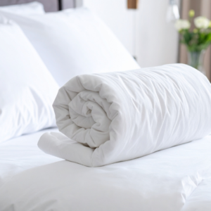 Rooming House Accomodation for professionals and students